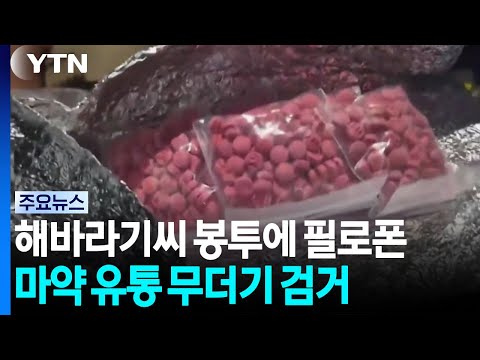 해바라기 씨 봉투에 필로폰. 마약 유통 조직 무더기 검거