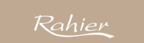 Biz Logo