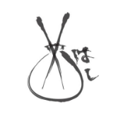 Biz Logo