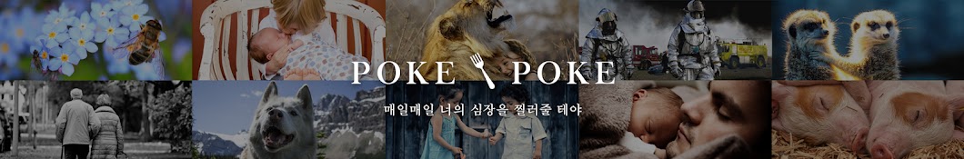 포크포크