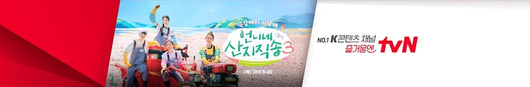 tvN Joy