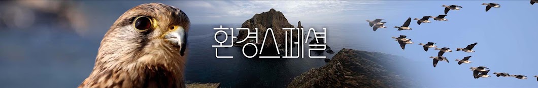 환경스페셜