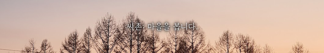 씨촌